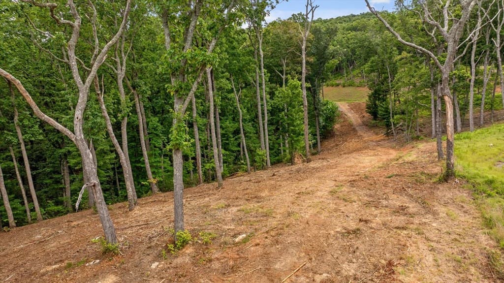 Lot 9 High Summit Drive, Talking Rock GA 30175 - Photo
