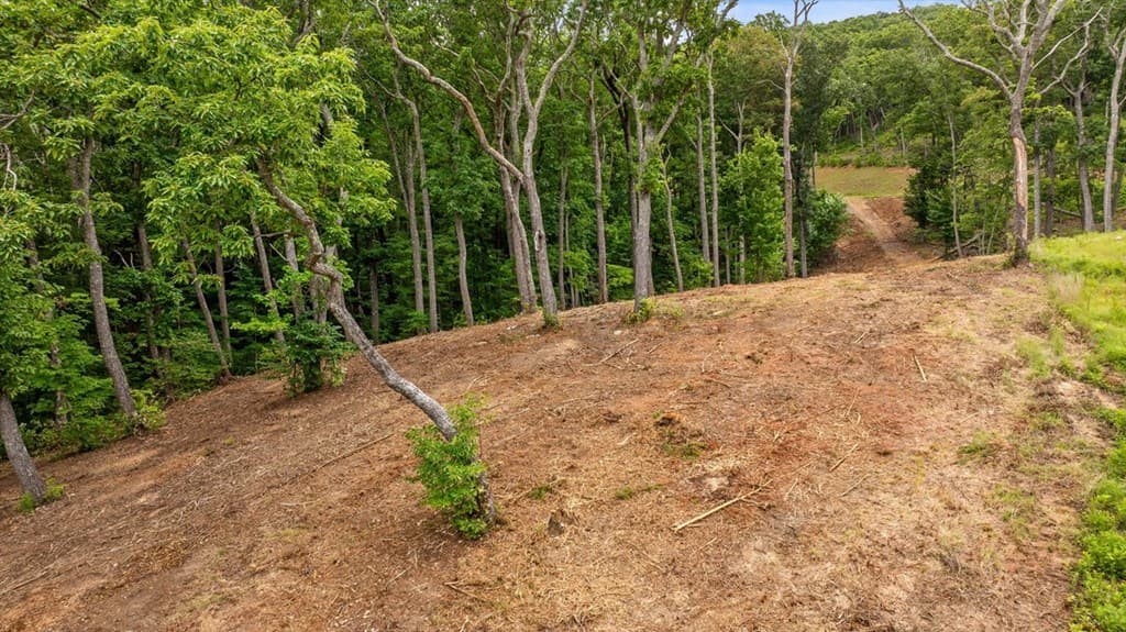Lot 9 High Summit Drive, Talking Rock GA 30175 - Photo