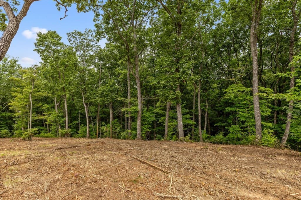 Lot 9 High Summit Drive, Talking Rock GA 30175 - Photo