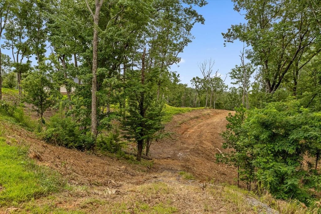 Lot 9 High Summit Drive, Talking Rock GA 30175 - Primary photo