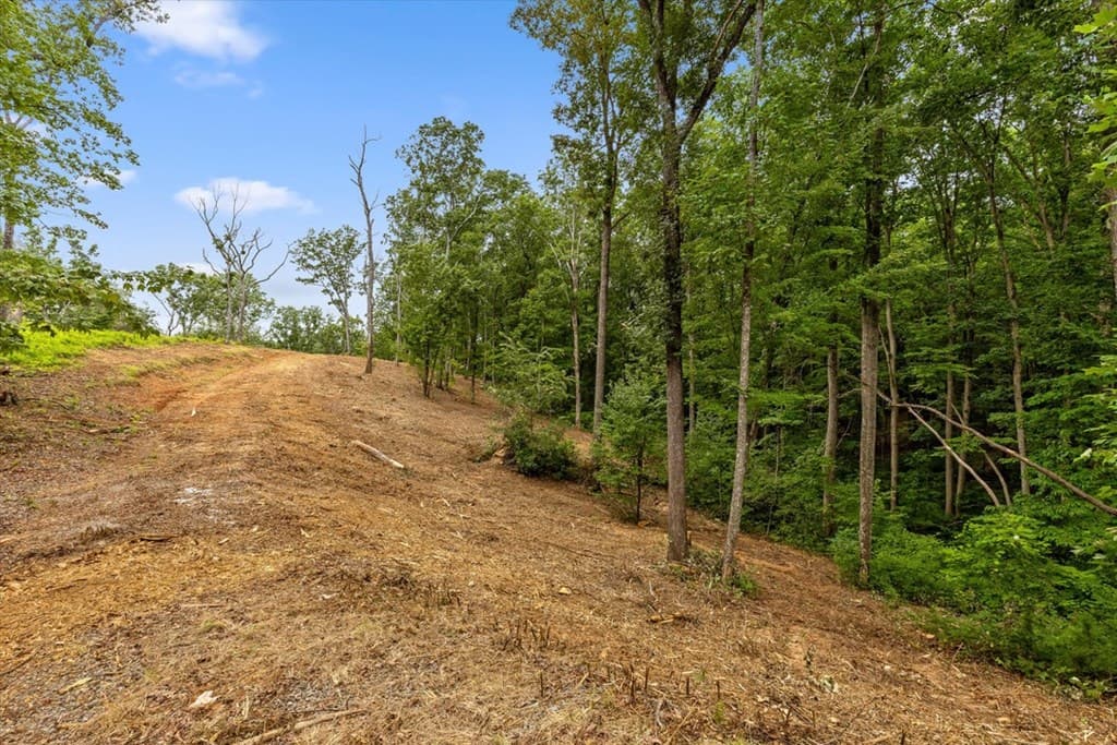 Lot 9 High Summit Drive, Talking Rock GA 30175 - Photo