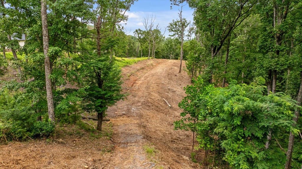 Lot 9 High Summit Drive, Talking Rock GA 30175 - Photo