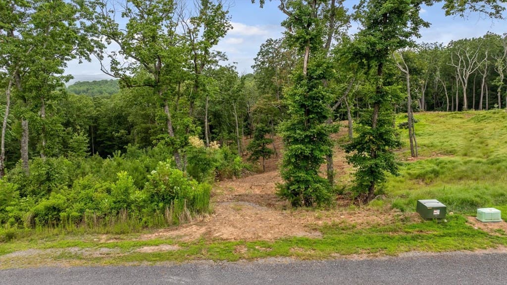 Lot 92 Timberline Trail, Talking Rock GA 30175 - Photo