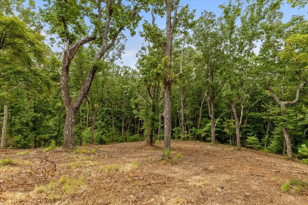 Lot 92 Timberline Trail, Talking Rock GA 30175 - Photo