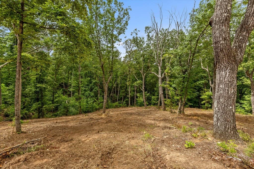 Lot 92 Timberline Trail, Talking Rock GA 30175 - Photo