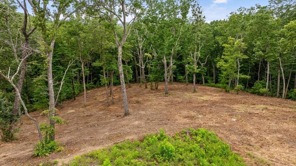 Lot 92 Timberline Trail, Talking Rock GA 30175 - Primary photo
