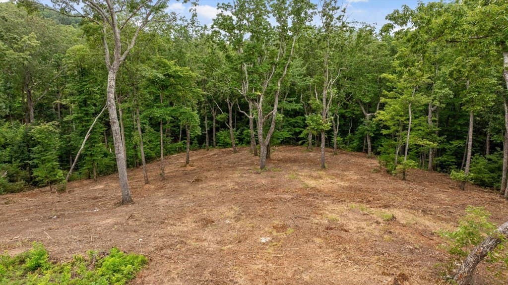 Lot 92 Timberline Trail, Talking Rock GA 30175 - Photo
