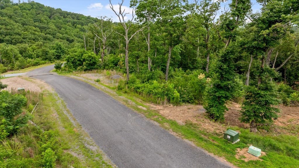 Lot 92 Timberline Trail, Talking Rock GA 30175 - Photo
