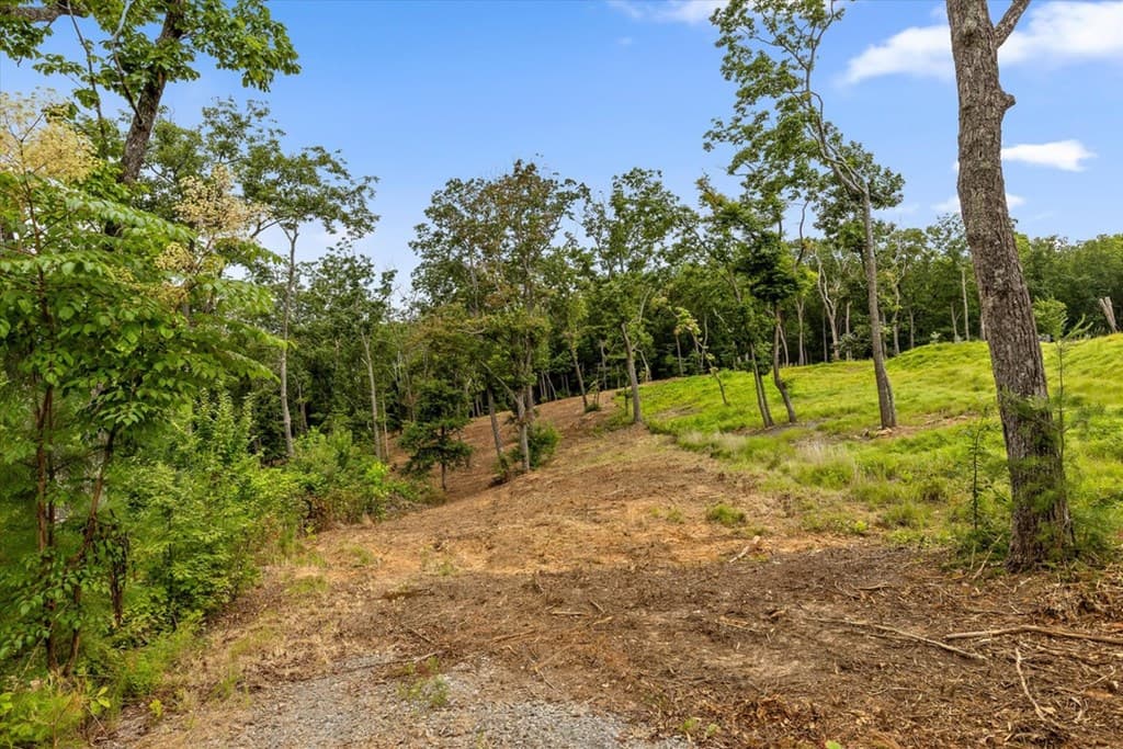 Lot 9+92 High Summit Drive, Talking Rock GA 30175 - Photo