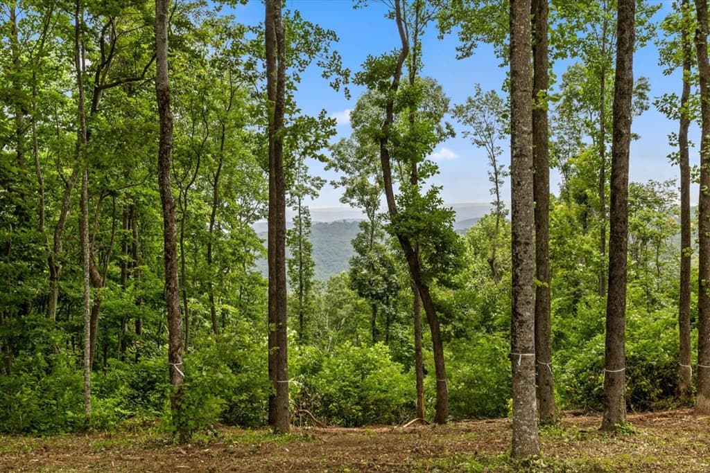 Lot 374 N Mountain Ridge Road, Talking Rock GA 30175 - Photo
