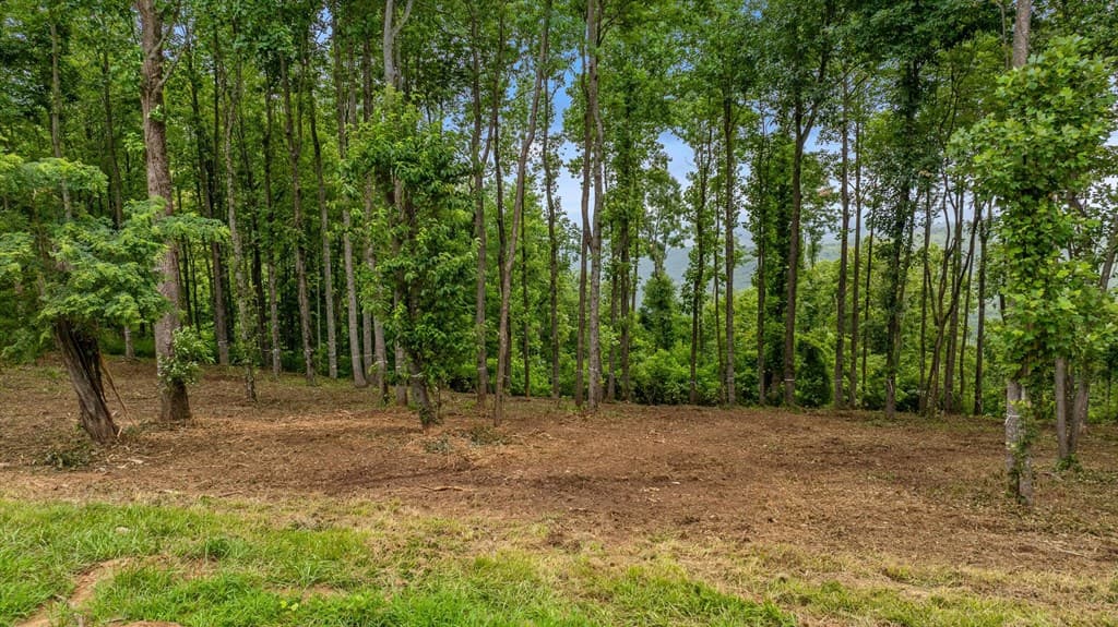 Lot 374 N Mountain Ridge Road, Talking Rock GA 30175 - Photo