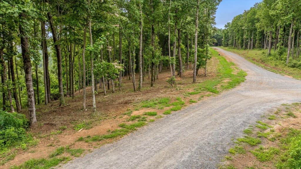 Lot 374 N Mountain Ridge Road, Talking Rock GA 30175 - Photo