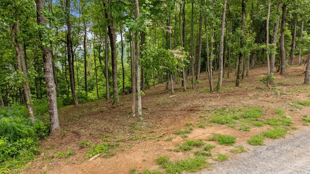 Lot 374 N Mountain Ridge Road, Talking Rock GA 30175 - Photo