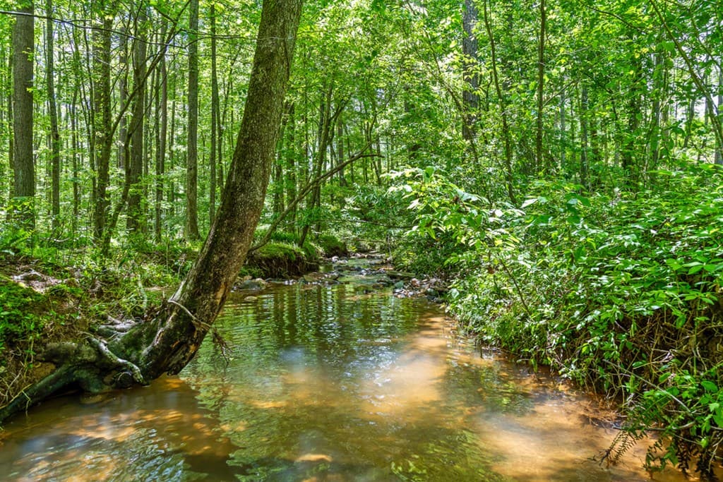 Lot 374 N Mountain Ridge Road, Talking Rock GA 30175 - Photo