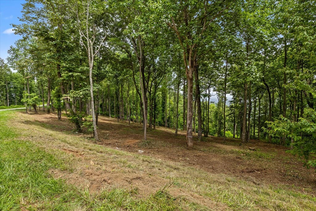 Lot 374 N Mountain Ridge Road, Talking Rock GA 30175 - Photo