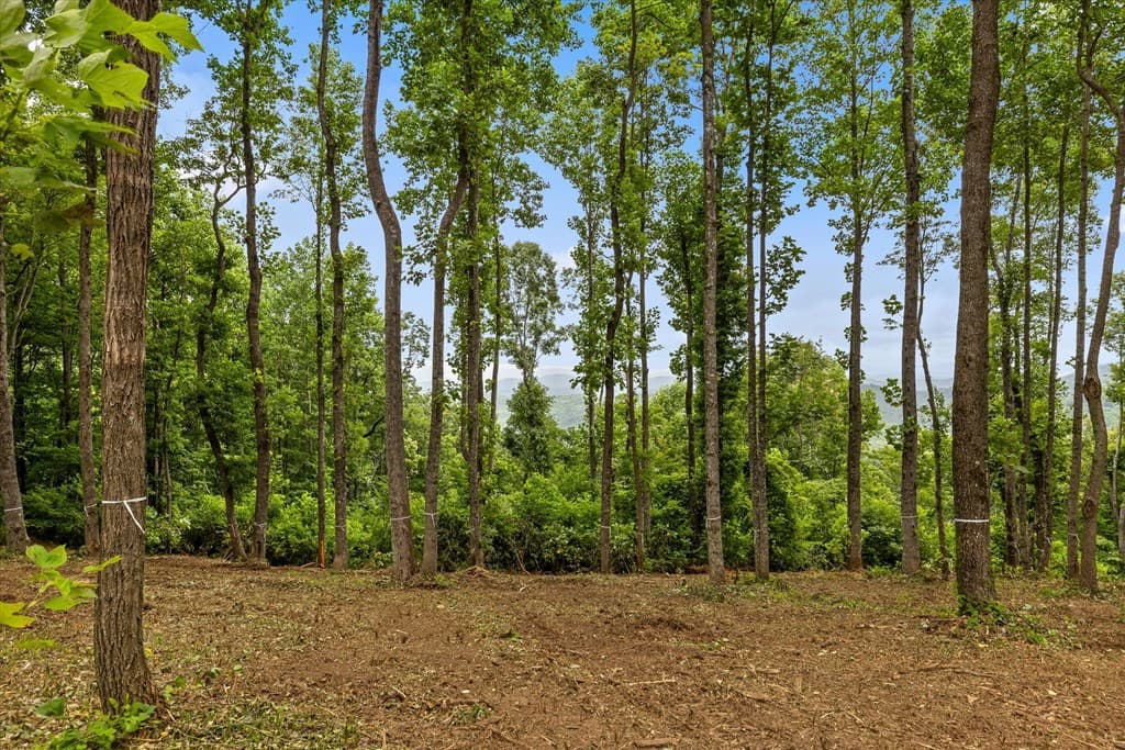 Lot 374 N Mountain Ridge Road, Talking Rock GA 30175 - Photo