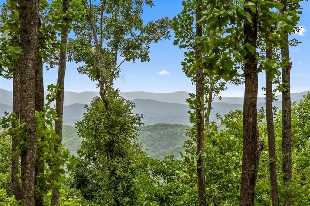 Lot 374 N Mountain Ridge Road, Talking Rock GA 30175 - Primary photo