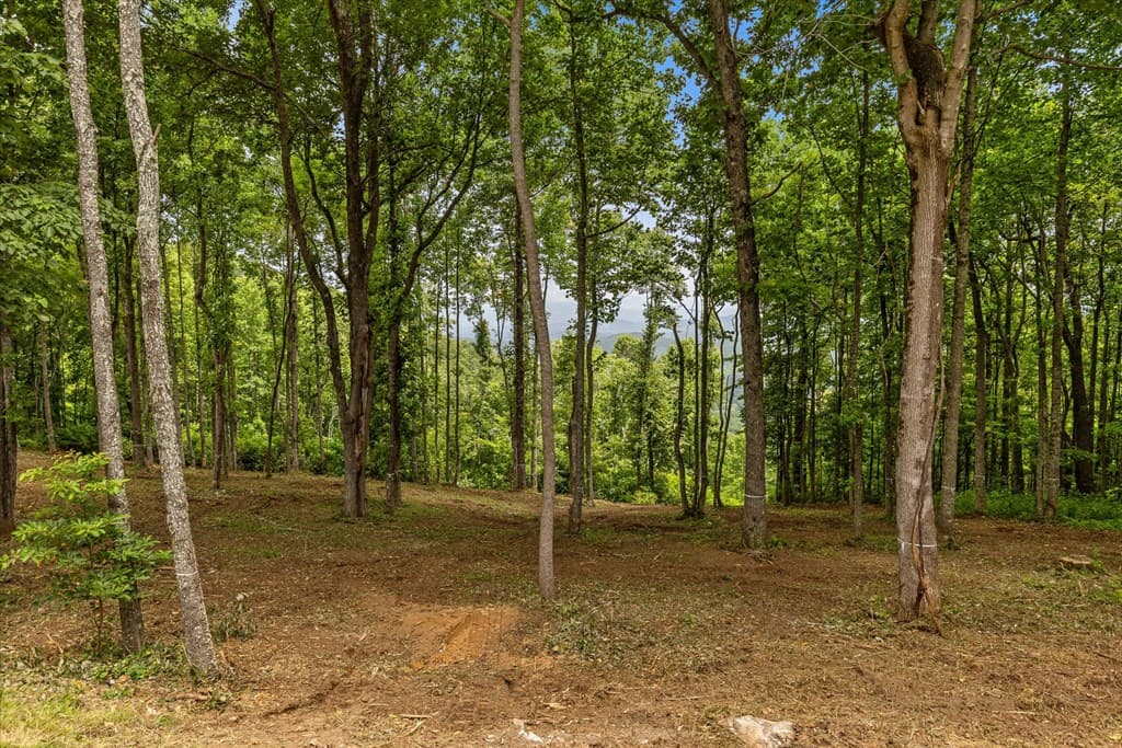 Lot 374 N Mountain Ridge Road, Talking Rock GA 30175 - Photo