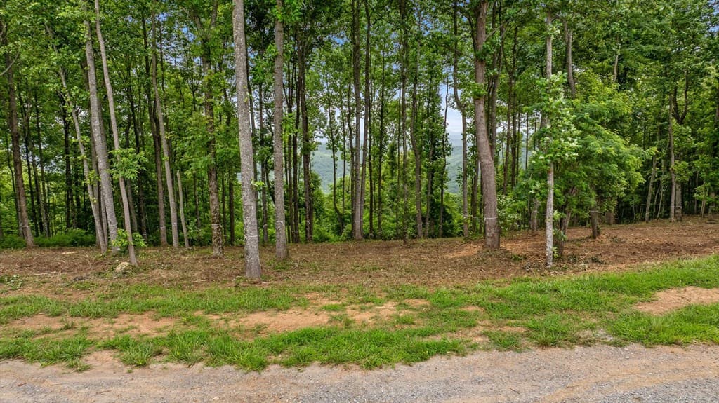 Lot 374 N Mountain Ridge Road, Talking Rock GA 30175 - Photo