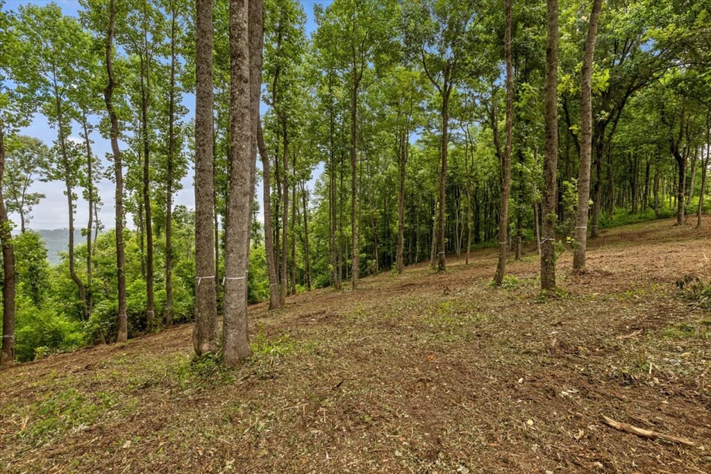 Lot 374 N Mountain Ridge Road, Talking Rock GA 30175 - Photo