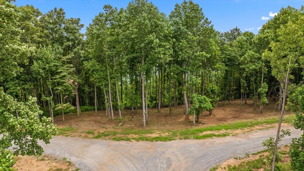 Lot 374 N Mountain Ridge Road, Talking Rock GA 30175 - Photo