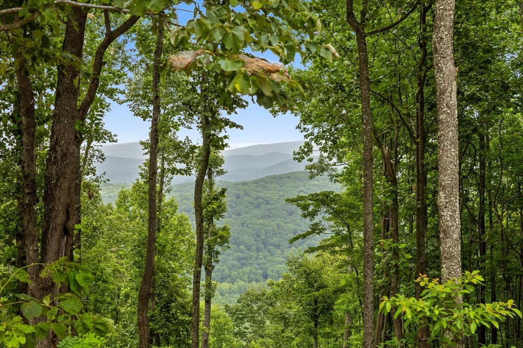 Lot 374 N Mountain Ridge Road, Talking Rock GA 30175 - Photo
