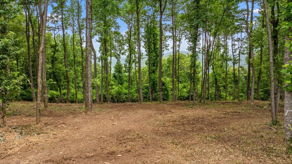 Lot 374 N Mountain Ridge Road, Talking Rock GA 30175 - Photo