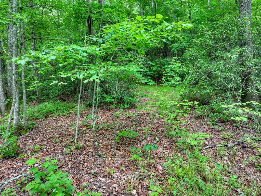 0 Blalock Road, Turtletown TN 37391 - Photo