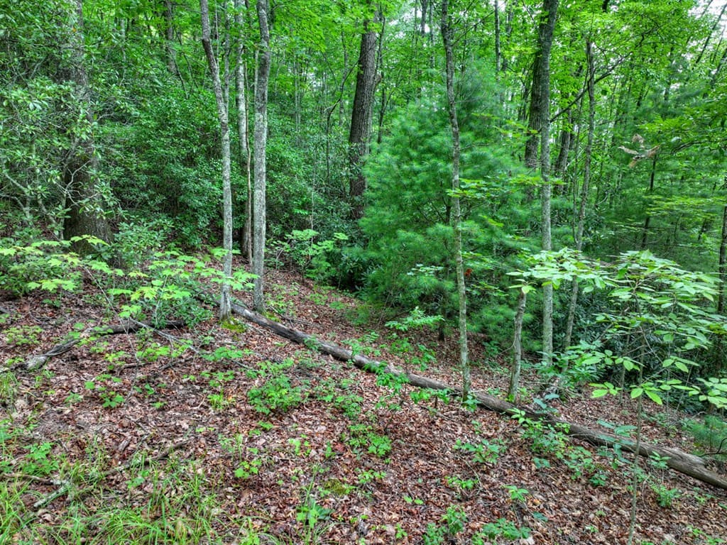 0 Blalock Road, Turtletown TN 37391 - Photo