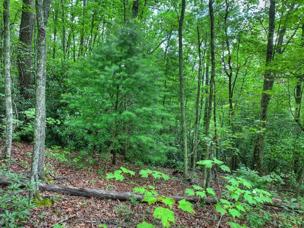 0 Blalock Road, Turtletown TN 37391 - Photo
