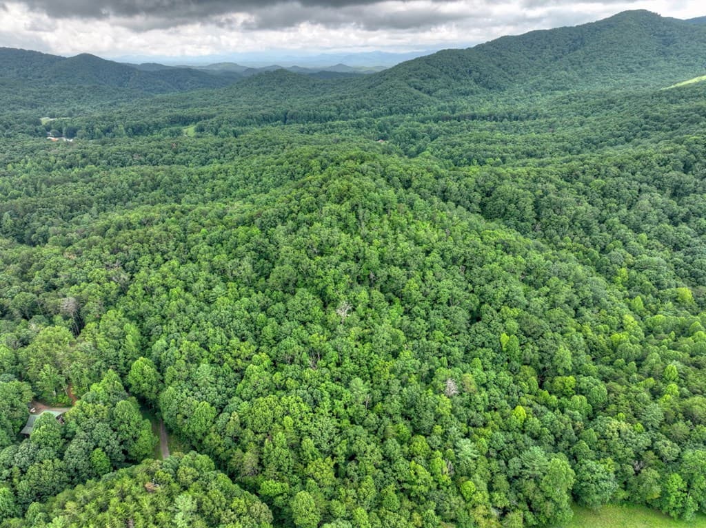 0 Blalock Road, Turtletown TN 37391 - Photo