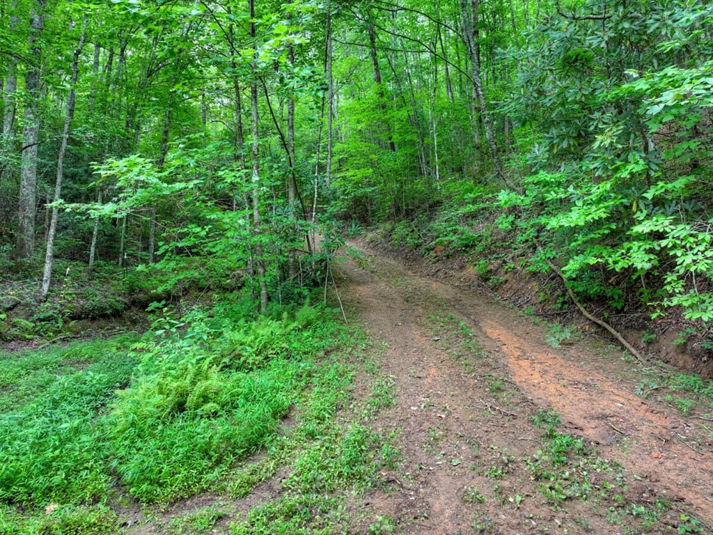 0 Blalock Road, Turtletown TN 37391 - Photo
