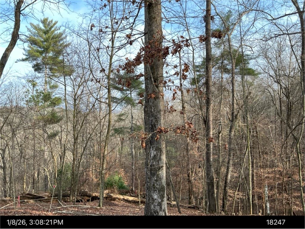 Lot 403 Crown Court, Ellijay GA 30540 - Photo