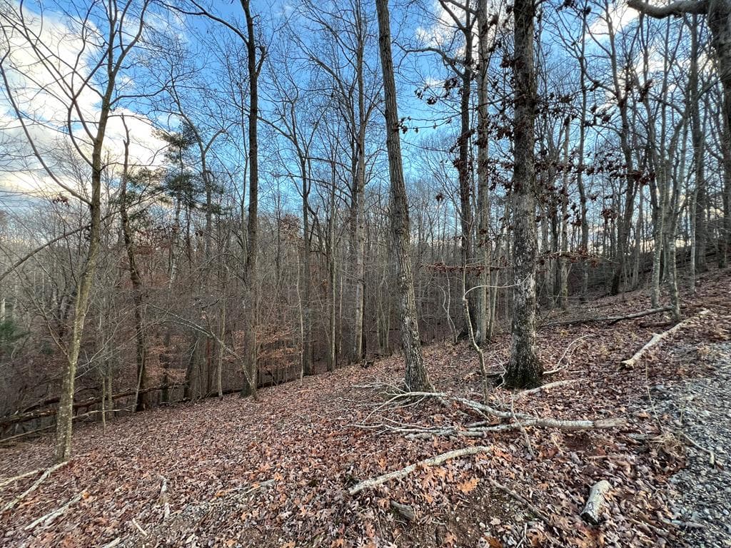 Lot 403 Crown Court, Ellijay GA 30540 - Primary photo