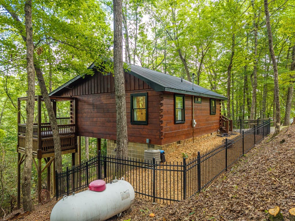 252 Granny Branch Drive, Blue Ridge GA 30513 - Photo