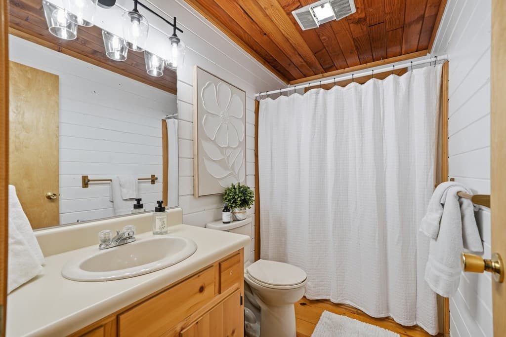 252 Granny Branch Drive, Blue Ridge GA 30513 - Photo