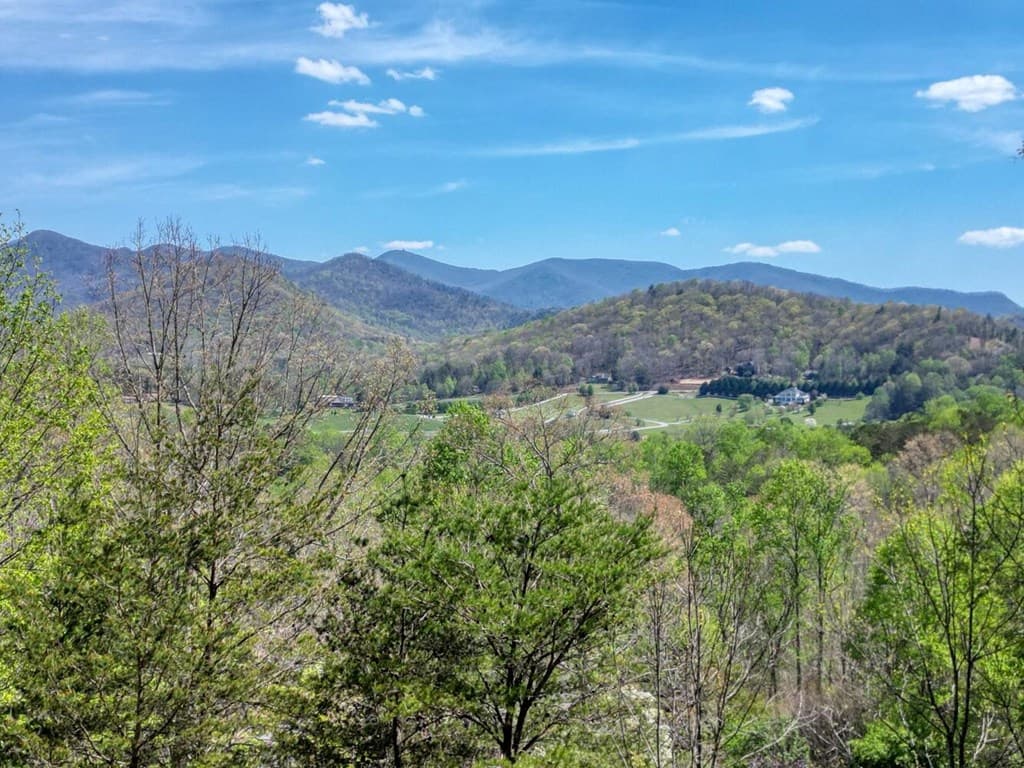 315 Wildwood Brook, Blairsville GA 30512 - Photo