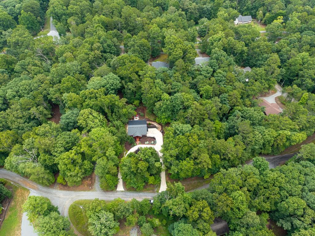 460 Pasha Drive, Ellijay GA 30540 - Photo