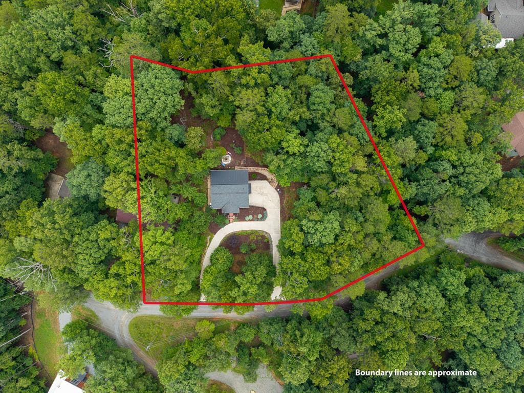 460 Pasha Drive, Ellijay GA 30540 - Photo