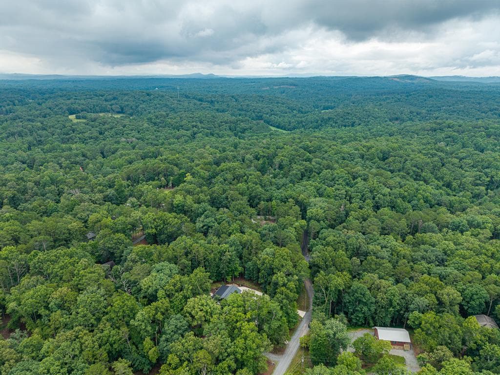 460 Pasha Drive, Ellijay GA 30540 - Photo