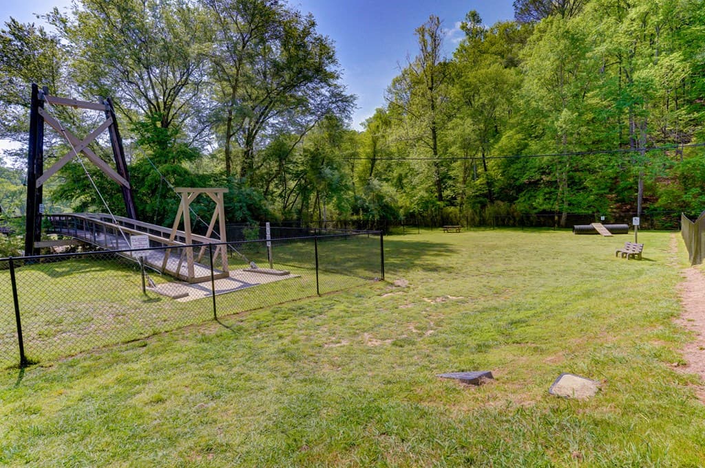 460 Pasha Drive, Ellijay GA 30540 - Photo