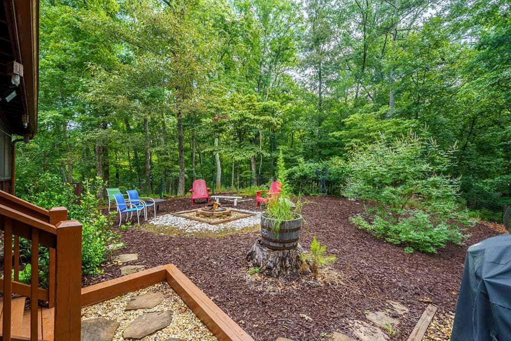 460 Pasha Drive, Ellijay GA 30540 - Photo
