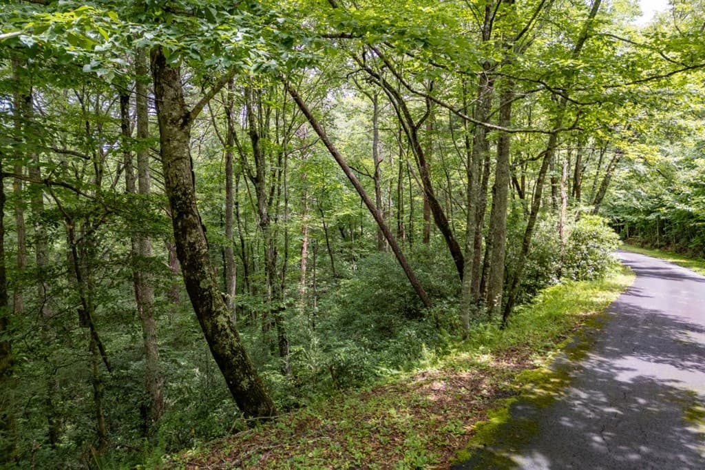 5.74 Ac Hardslate Road, Ellijay GA 30560 - Photo