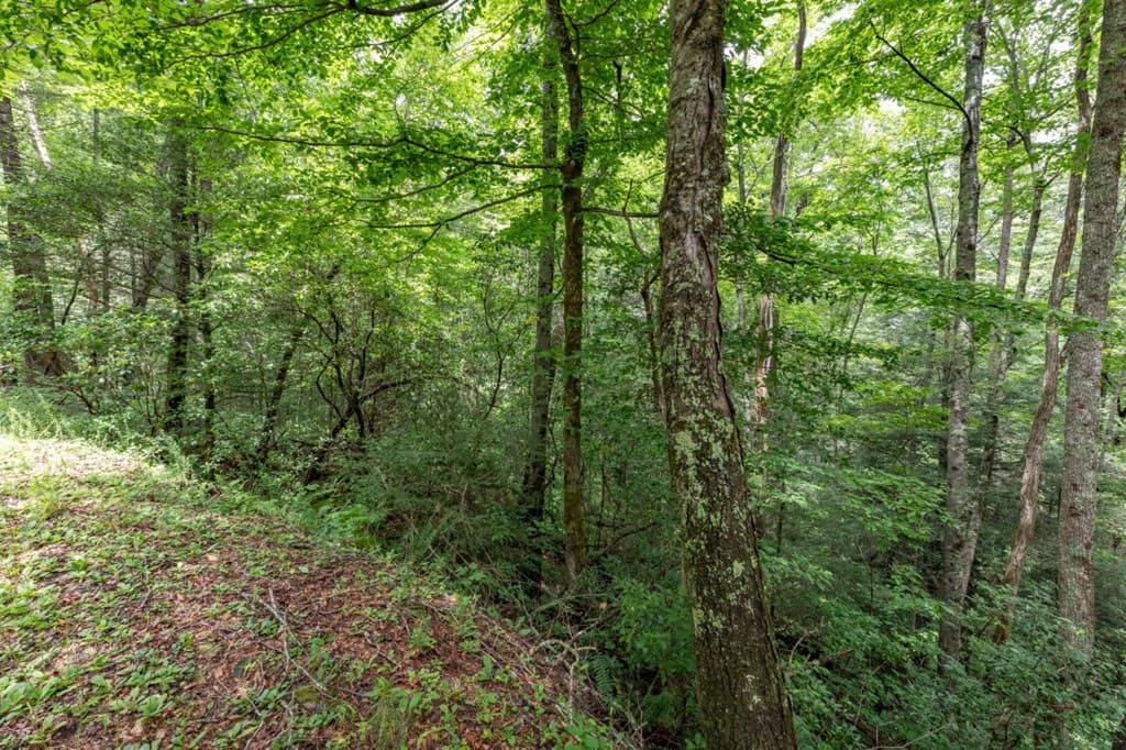 5.74 Ac Hardslate Road, Ellijay GA 30560 - Photo