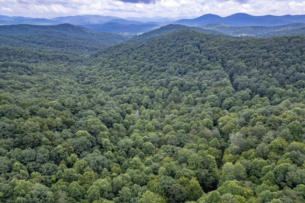 5.74 Ac Hardslate Road, Ellijay GA 30560 - Photo
