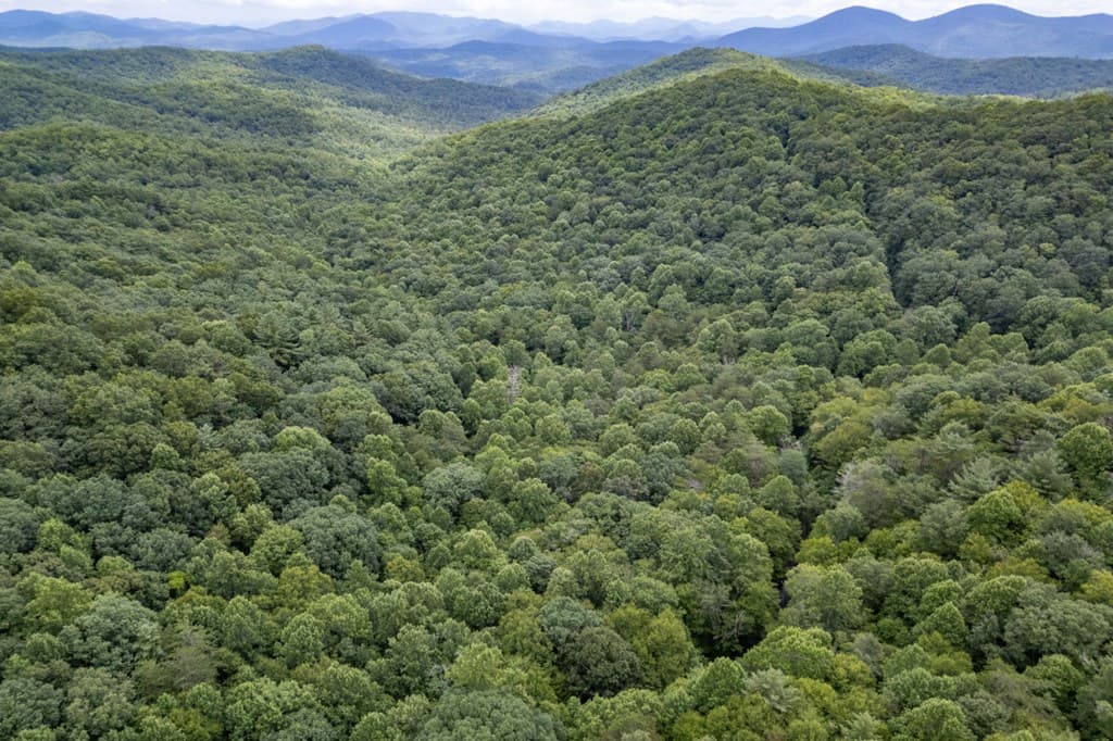 5.74 Ac Hardslate Road, Ellijay GA 30560 - Photo