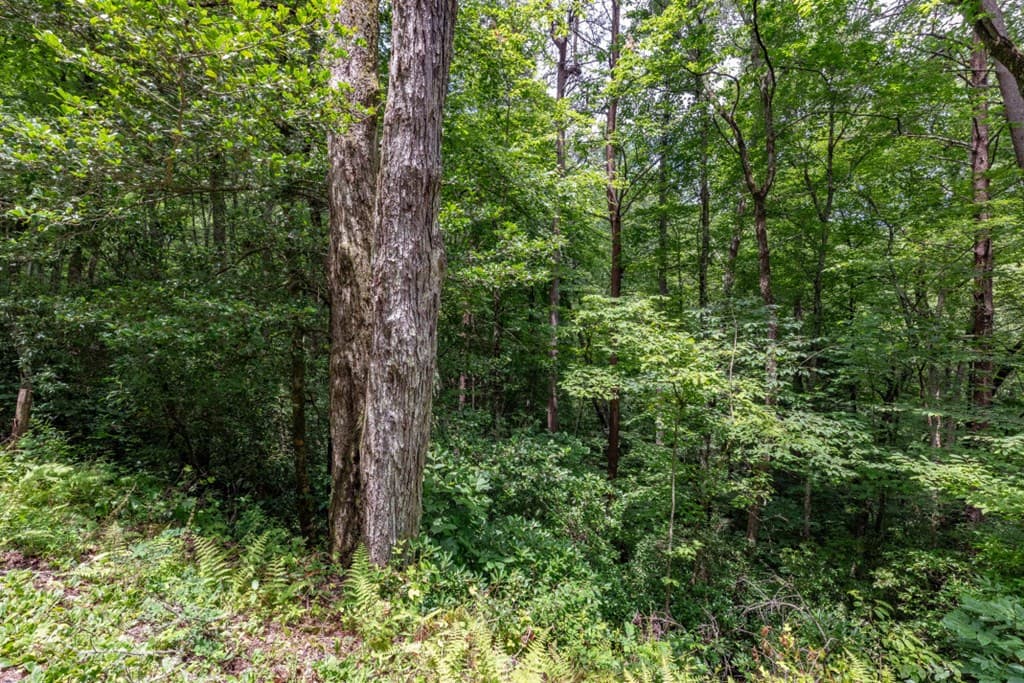 5.74 Ac Hardslate Road, Ellijay GA 30560 - Photo