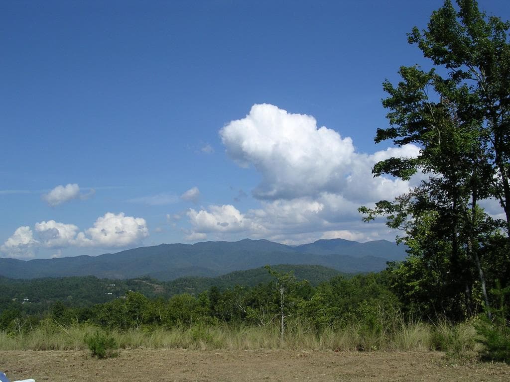 247 Rice Lane, Marble NC 28905 - Photo