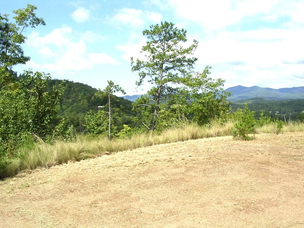 247 Rice Lane, Marble NC 28905 - Photo