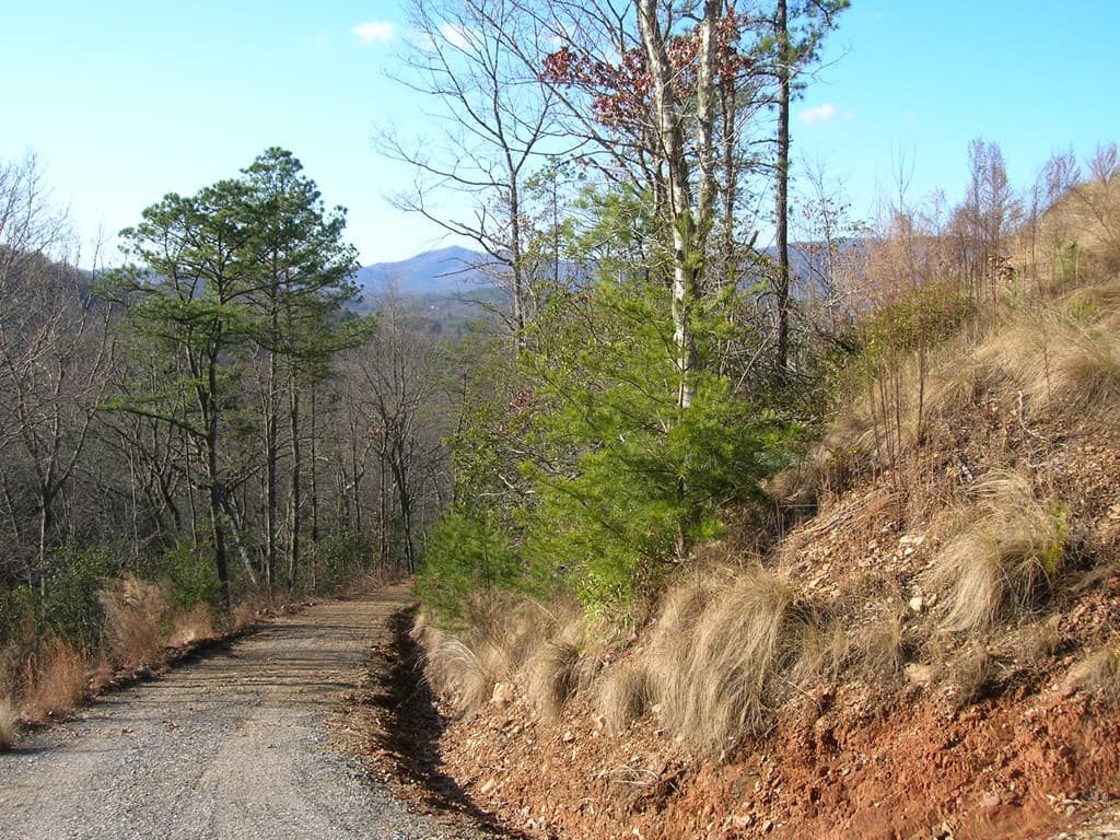 247 Rice Lane, Marble NC 28905 - Photo